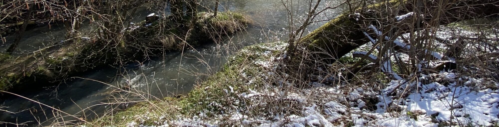 Sportanglerverein Ebrachgrund